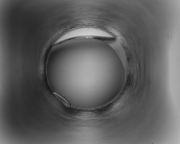 X0000088210399200705292056