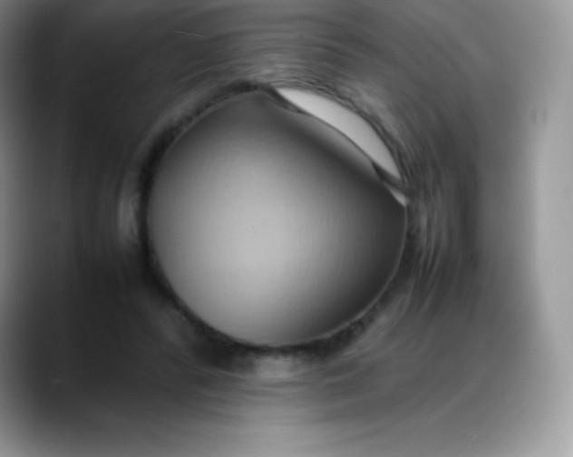 X0000088210400200705292056