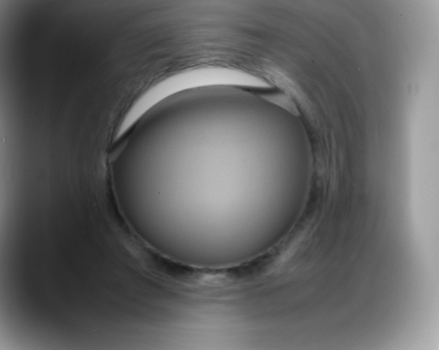 X0000088210401200705292056