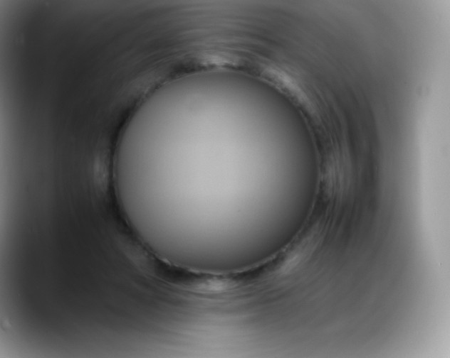 X0000088210402200705292056