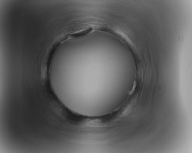 X0000088210403200705292056