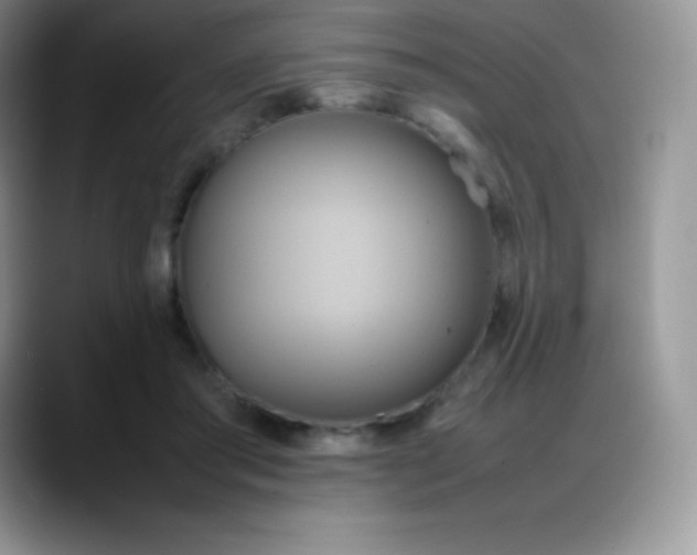 X0000088210405200705292056