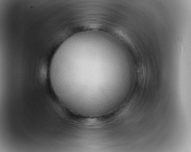 X0000088210406200705292056