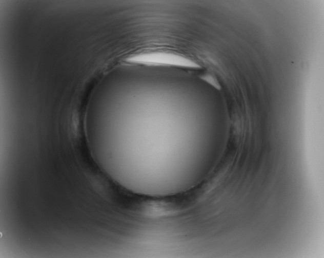 X0000088210408200705292056