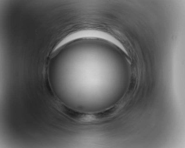 X0000088210409200705292056