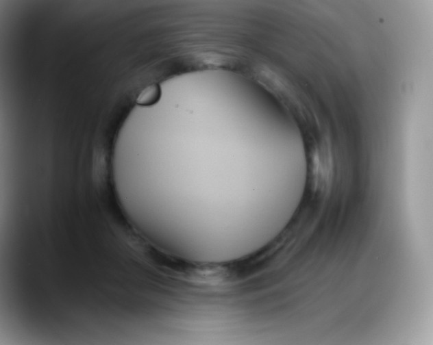 X0000088210410200705292056