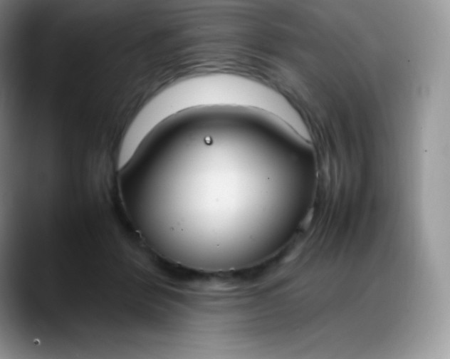 X0000088210412200705292056