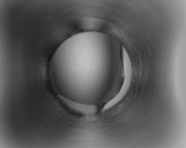 X0000088210416200705292056