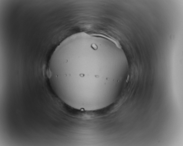 X0000088210420200705292056