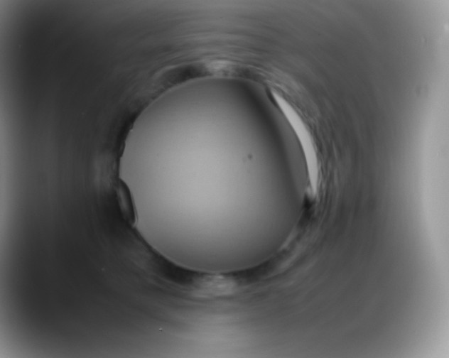 X0000088210421200705292056