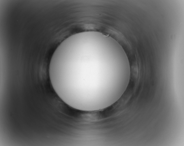 X0000088210422200705292056