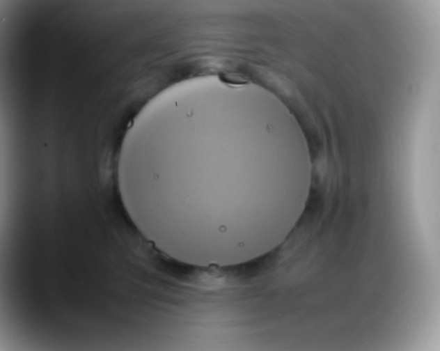 X0000088210423200705292056