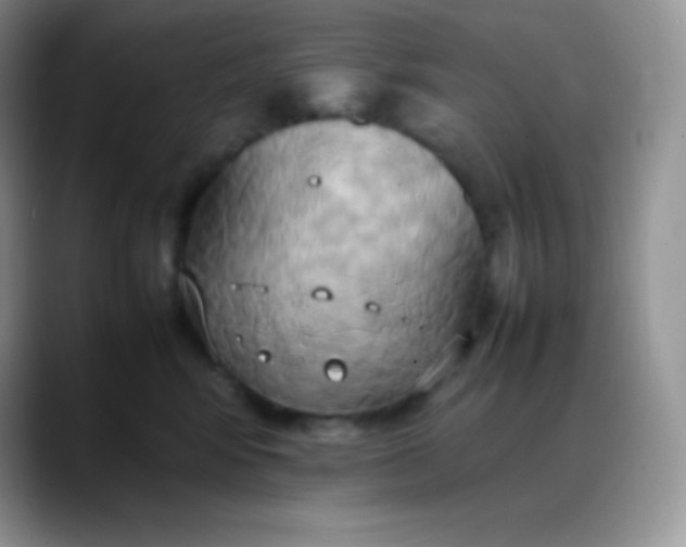 X0000088210424200705292056