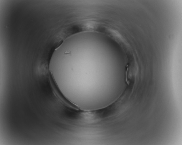 X0000088210425200705292056