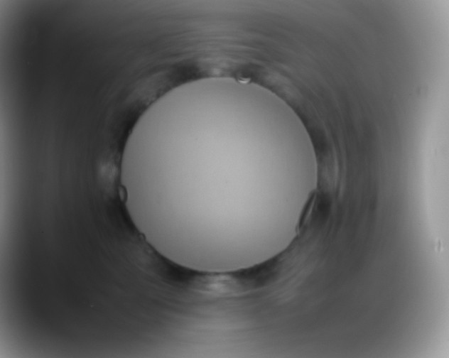 X0000088210427200705292056