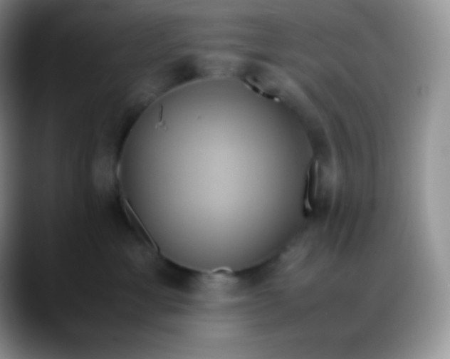 X0000088210429200705292056