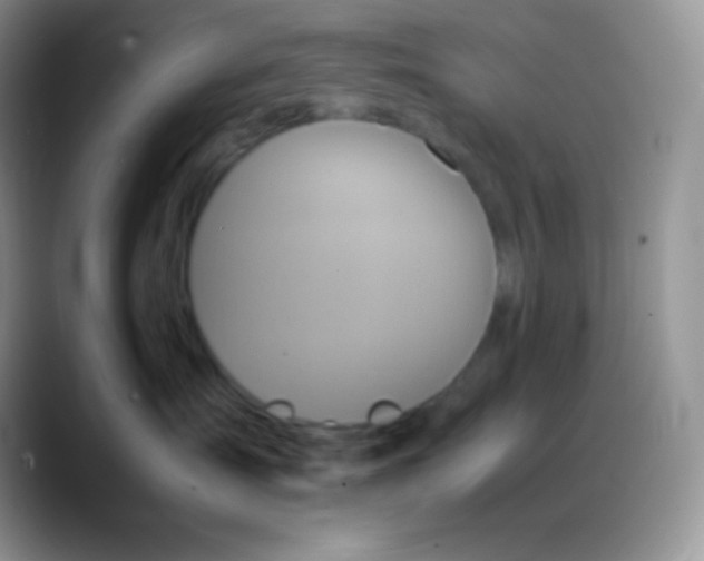 X0000088210431200705292056