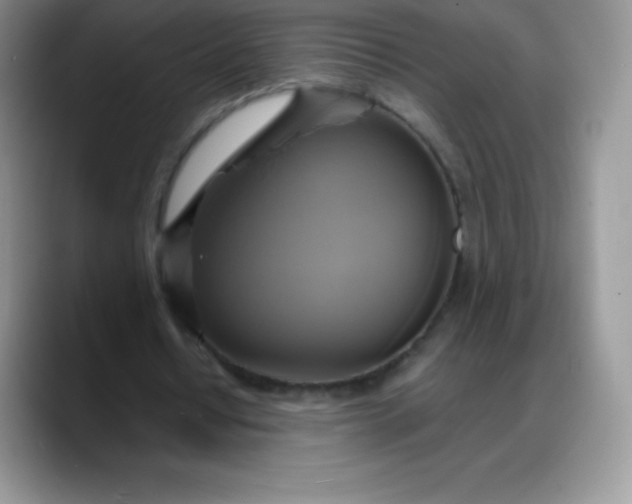 X0000088210434200705292055