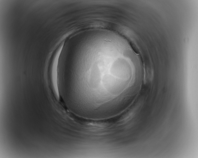 X0000088210435200705292055
