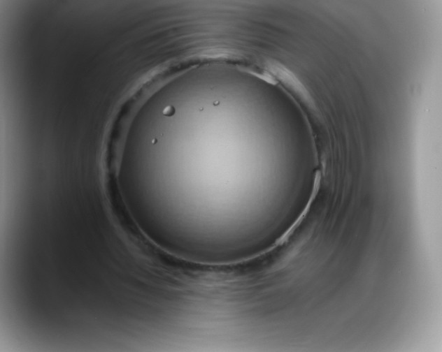 X0000088210436200705292055