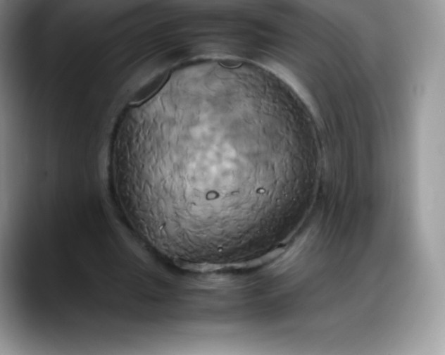 X0000088210437200705292055