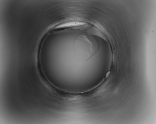 X0000088210438200705292055