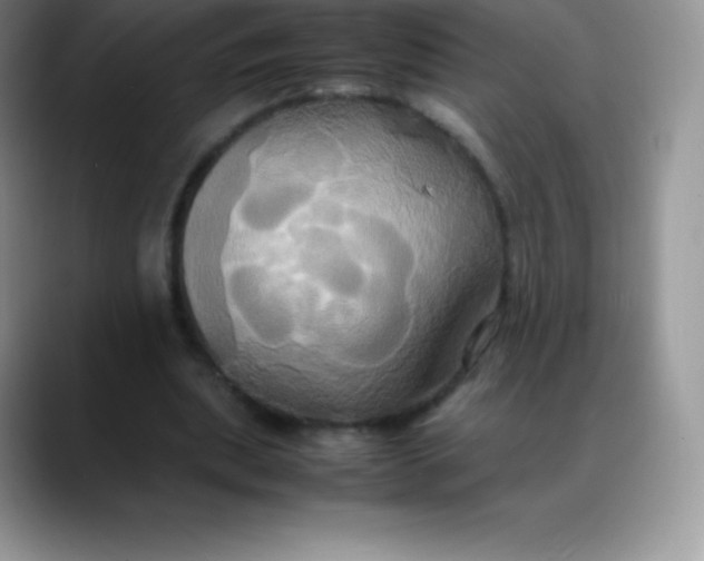 X0000088210439200705292056