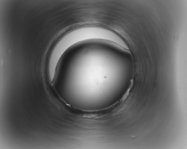 X0000088210440200705292056