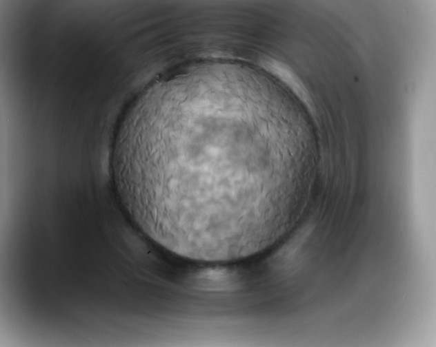 X0000088210441200705292056