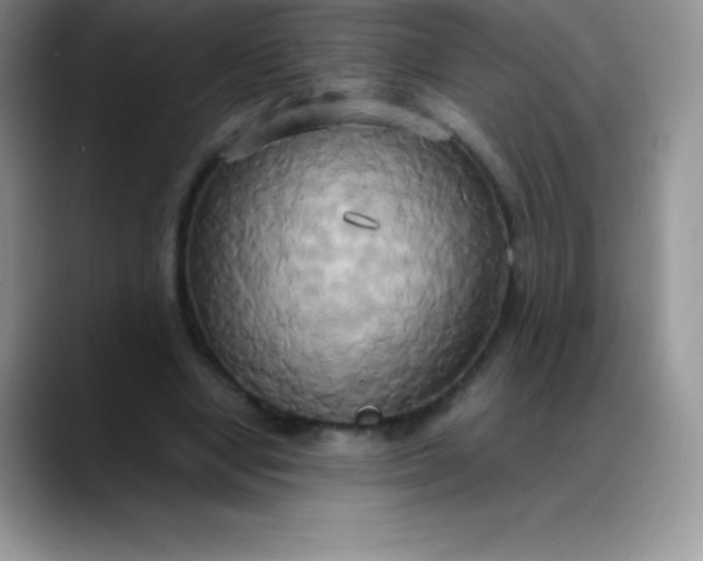 X0000088210442200705292056