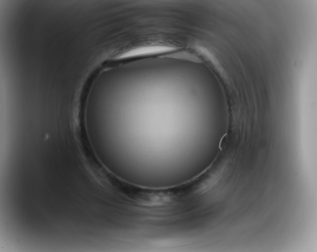 X0000088210443200705292056