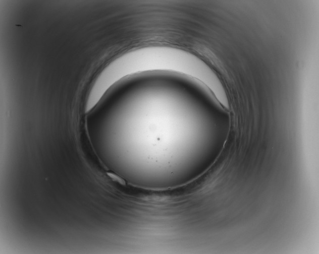 X0000088210444200705292056