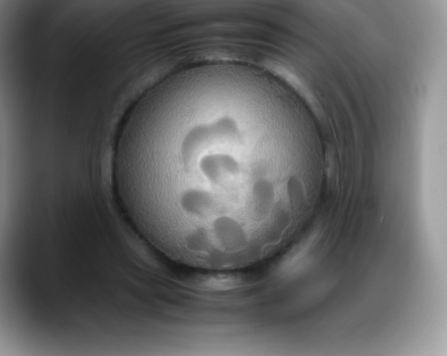 X0000088210445200705292056