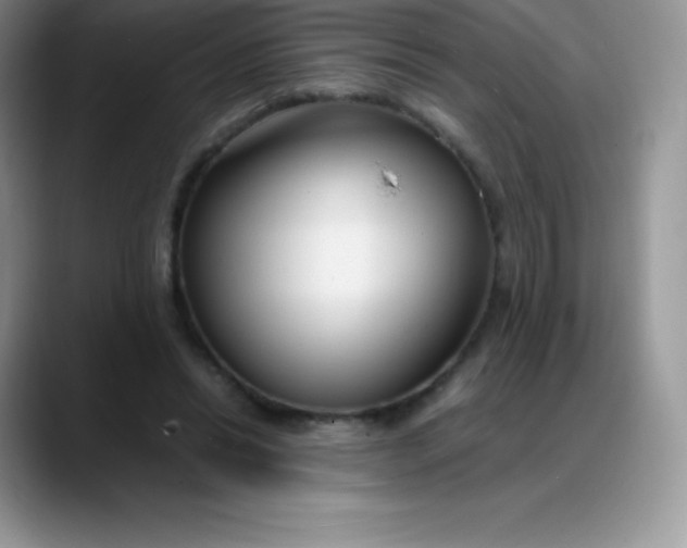 X0000088210446200705292056