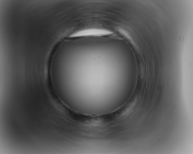 X0000088210447200705292056