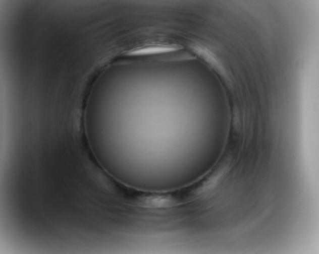 X0000088210449200705292056