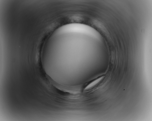 X0000088210451200705292056