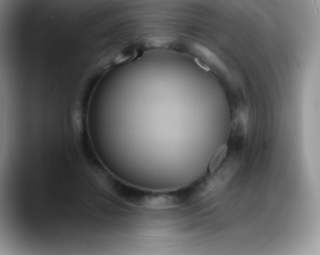 X0000088210452200705292056