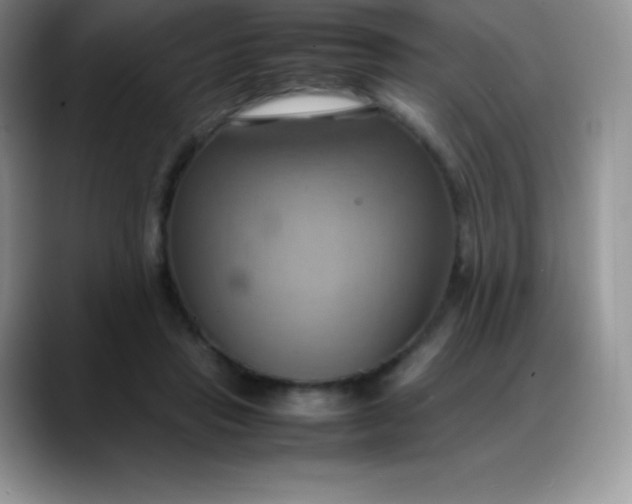 X0000088210453200705292056