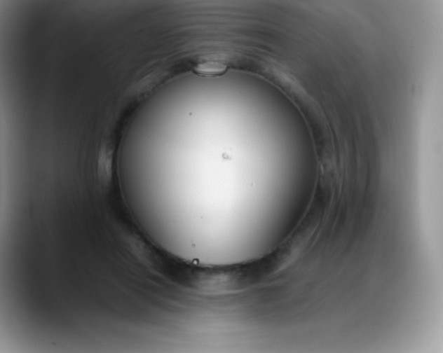 X0000088210454200705292056