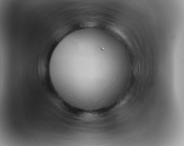 X0000088210455200705292056