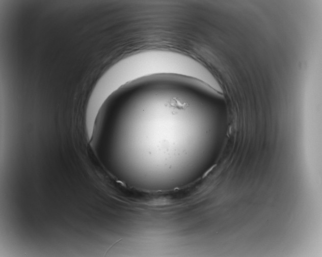 X0000088210456200705292056