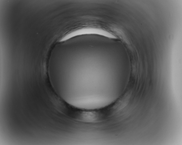 X0000088210457200705292056