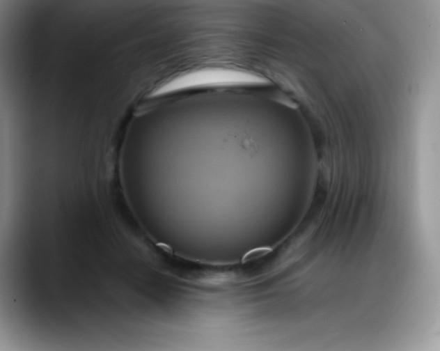 X0000088210458200705292056