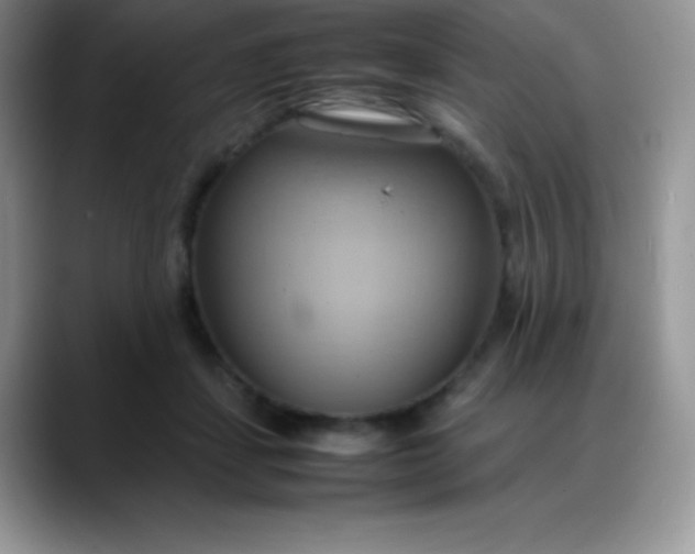 X0000088210459200705292056