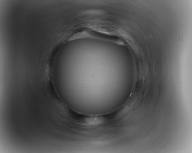 X0000088210465200705292056