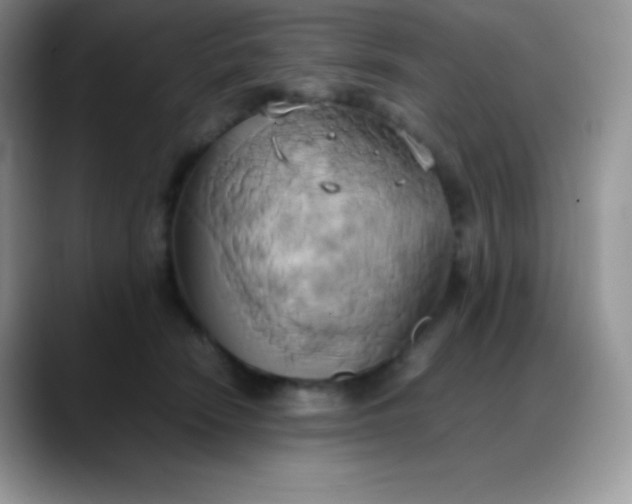 X0000088210466200705292056