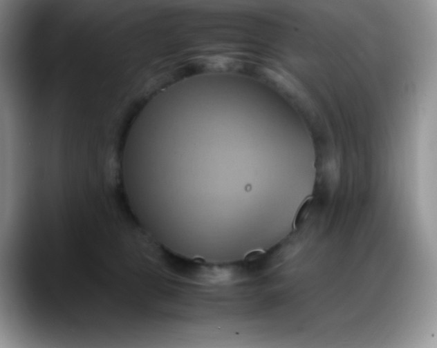 X0000088210469200705292056