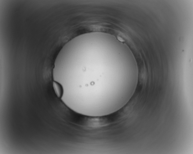 X0000088210473200705292056