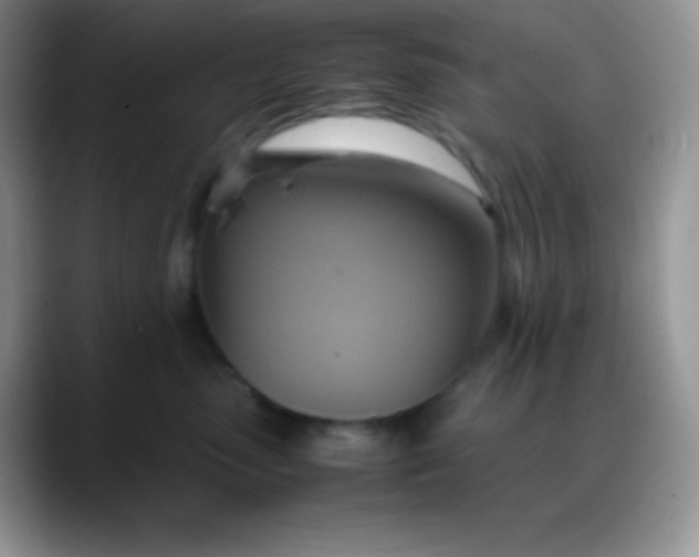 X0000088210475200705292056